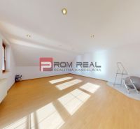 Prenájom - Priestranná časť rodinného domu | BORINKA | 450 € VRÁTANE E - Priestranná miestnosť s podlahou s dreveným dekorom a strešnými oknami v 5 a viac izbovom byte.