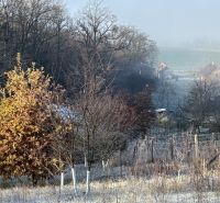 Na predaj: 2 izbový domček v Leviciach - Chata v Leviciach obklopená stromami a prírodou, ideálna na odpočinok a relax.