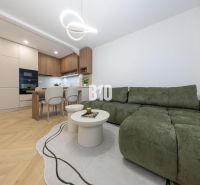 NOVO ZREKONŠTRUOVANÝ 4-IZBOVÝ BYT V TICHOM PROSTREDÍ - 78 m² - NOVÉ ME - Obývacia izba v 4-izbovom byte s podlahou s dreveným dekorom a zelenou sedačkou.