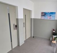 3- izbový byt na  Viglašskej ulici  - Chodba s dvoma výťahmi, rastlinami a maľbou, Vígľašská ulica, Bratislava - Petržalka.