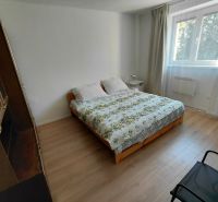 Na prenájom - Zariadený 3 izbový byt na Lipovci so záhradou - Spálňa v 3-izbovom byte s postelí, oknom a podlahou s dreveným dekorom.