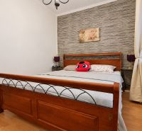 PREDAJ - 2-izbový byt s klimatizáciou a pivnicou, P. J. Šafárika, Šaľa - Spálňa v 2-izbovom byte s dekoratívnou stenou a podlahou s dreveným dekorom.