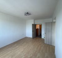 PRENÁJOM- 2-izbového bytu v centre mesta Šaľa – pešia zóna  - Priestranná izba v 2-izbovom byte s podlahou s dreveným dekorom a jednoduchým osvetlením.