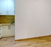 PRENÁJOM garsónky - 24 m², Humenné - Kompaktná kuchyňa s bielymi skrinkami a podlahou s dreveným dekorom v Rekreačnom apartmáne.