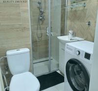 PRENÁJOM garsónky - 24 m², Humenné - Kúpeľňa v Rekreačnom apartmáne s práčkou, sprchovacím kútom, toaletou a podlahou s dreveným dekorom.