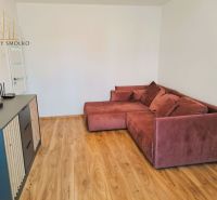 PRENÁJOM garsónky - 24 m², Humenné - Obývacia izba s rohovou pohovkou a podlahou s dreveným dekorom v Rekreačnom apartmáne.