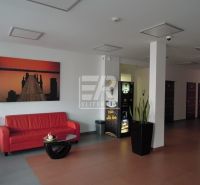 PESTOVATEĽSKÁ ul. - PCO kamerový systém, 24/7, wifi v budove - Ružinov - kanc-26-96-m2-pestovatelska-bratislava-ii-ruzinov-7.jpg