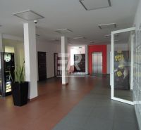 PESTOVATEĽSKÁ ul. - PCO kamerový systém, 24/7, wifi v budove - Ružinov - kanc-26-96-m2-pestovatelska-bratislava-ii-ruzinov-6.jpg