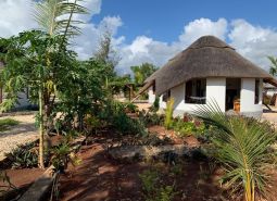 Bungalov na ulici Zaria Garden Bungalows obklopený tropickou záhradou, výstavba domov na vidieku.