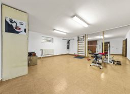 Posilňovňa s cvičebnými strojmi a dekoratívnym obrazom v rodinnom dome, podlaha s dreveným dekorom.