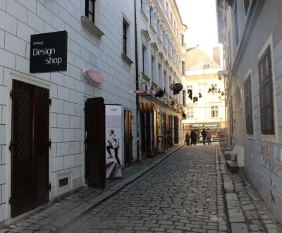 Michalská/Zámočnícka - Obchodný priestor v historickom centre