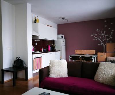 Prenajmeme 1,5 izb byt na Záhradníckej ulici - Octopus