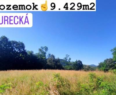 EXKLUZÍVNE ! pozemok na predaj, 9.429 m2, Turecká