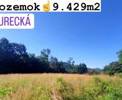 EXKLUZÍVNE ! pozemok na predaj, 9.429 m2, Turecká