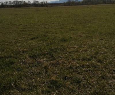 Pozemky vhodné na investíciu len u nás