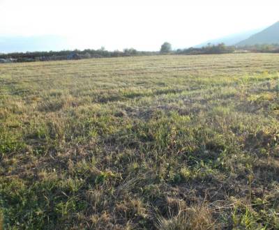 Ponúkame Vám na predaj pozemok na Vrútkach 