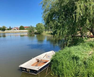 Veľký pozemok s vlastným rybníkom v centre obce Vlčany okr.Šaľa
