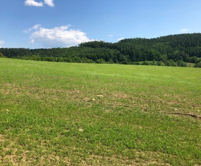 PREDAJ: Rekreačný pozemok v obci Horná Breznica- 6877m2