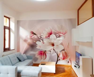 CENTRUM- NA PRENÁJOM VEĽKÝ 3-IZBOVÝ BYT , UL.MLYNSKÁ