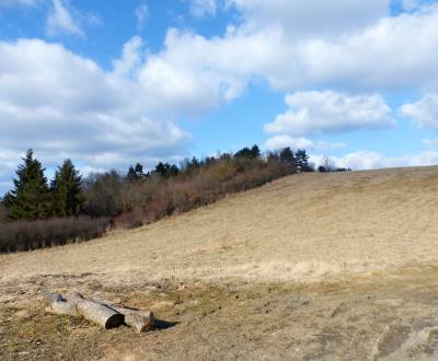 NA PREDAJ INVESTIČNÝ POZEMOK, 5277M2 PREŠOV -VYDUMANEC