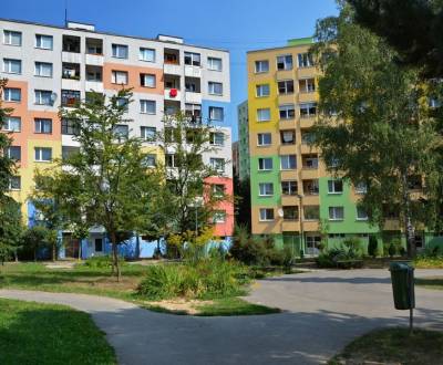 VÝKUP: pôvodný 2-izbový byt s balkónom, Solinky - ul. Gaštanová, ZA