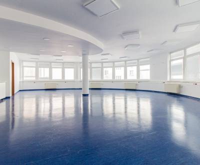 Priestranný Open space s parkovaním priamo v centre