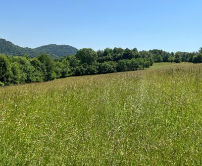 Rekreačný pozemok v obci Nimnica 3233m2