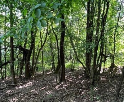 Na predaj Rekreačný pozemok v blízkosti Púchova- 3432 m2
