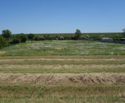 Predaj pozemku 1700 m2 obdĺžnikový tvar, možnosť rozdeliť na dva.
