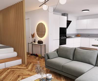 Predáme 1-izb. byty v novostavbe, lokalita PANSKÉ POLE v meste Vráble