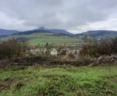 Pozemok 4770m2 v obci Dolný Lieskov