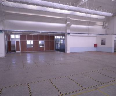 Hala 540 m2 sklad, vyroba, obchod, iné.  