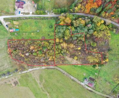 Predaj : Pozemok - VÝRAZNÁ ZĽAVA -TTP v Dolnej Tižine 2731 m2