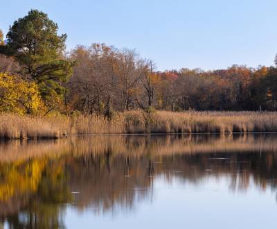 Ponuka pozemku na chalupu blízko rybníka 