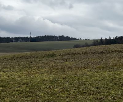 REKREAČNÝ POZEMOK: POZEMOK SNOV, TICHO, PRÍRODA, LES, LÚKY- 4.121m2