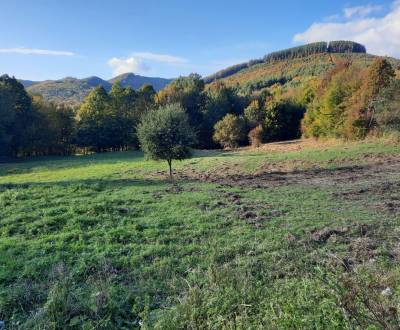 Veľký rekreačný pozemok v obci Zubák,  3611 m2