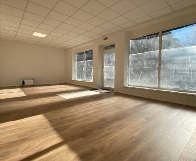 Súrne hľadám pre klienta priestor na potravinársku výrobu 50m2