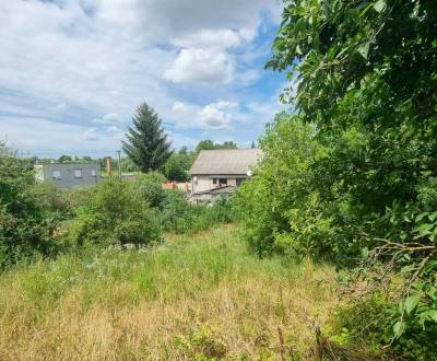 Znížená cena  R Dom  Šahy na predaj 2695m2 