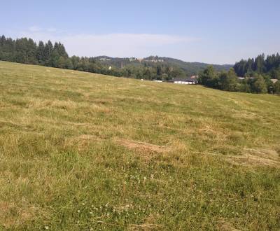 Predaj: Stavebný pozemok v meste Turzovka ,časti Predmier(106-P)