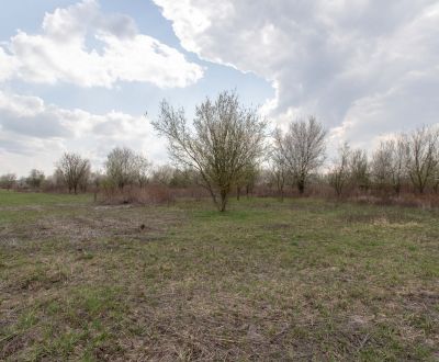NA PREDAJ pozemok o výmere 400 m2 v Zohore - záhrada