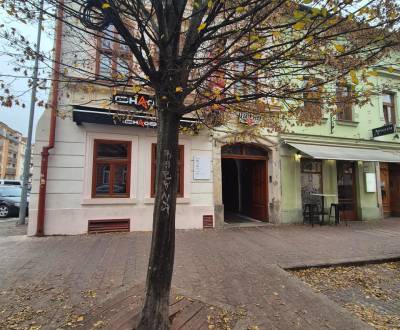 Na prenájom, nebytové priestory v centre mesta, Kováčska ul., KE