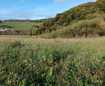 Exkluzívne na predaj pekný rekreačný pozemok 4002 m2, Horný Vadíčov