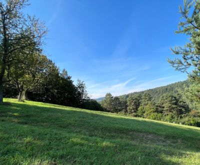 Slnečný rekreačný pozemok v tichej lokalite pod lesom- Zbora 4.705m2