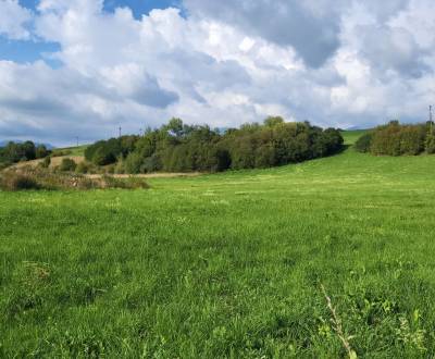 HĽADÁME: POZEMOK na výstavbu RD, 600 - 800 m2, do 100.000,- €