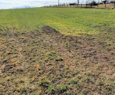 Hľadáme: STAVEBNÝ POZEMOK vhodný na stavbu RD, 600 m2, do 50.000 €