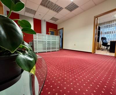 Kancelárske priestory Bratislava I, 260 m2, vlastný vstup, parkovanie