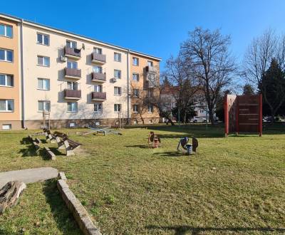 Na prenájom moderný open-space v centre Piešťan