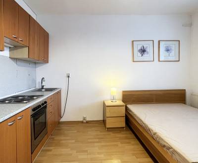 Exkluzívne | Prenájom garsónky s loggiou v Petržalke