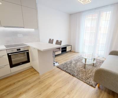 Na PRENÁJOM nový 2 izbový byt v novostavbe LIPÁR - Pezinok