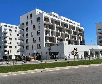 Veľký  1i byt NOVOSTAVBA RNDZ,Sklabinská ul., BA III.,44,75 m2